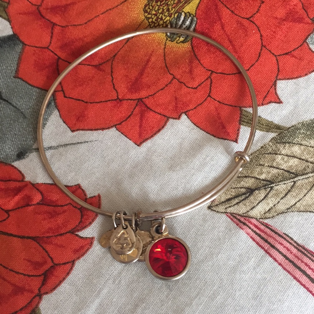 Alex and Ani ruby bangle